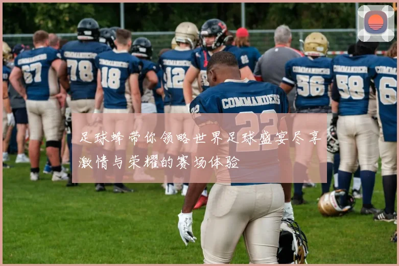 足球蜂带你领略世界足球盛宴尽享激情与荣耀的赛场体验