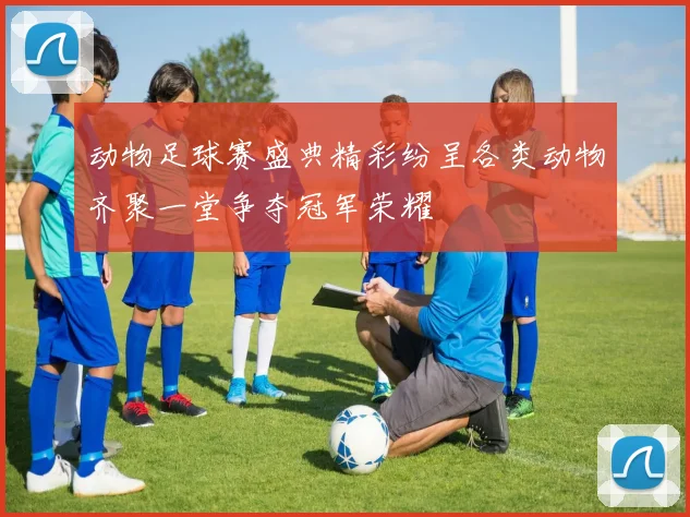 动物足球赛盛典精彩纷呈各类动物齐聚一堂争夺冠军荣耀