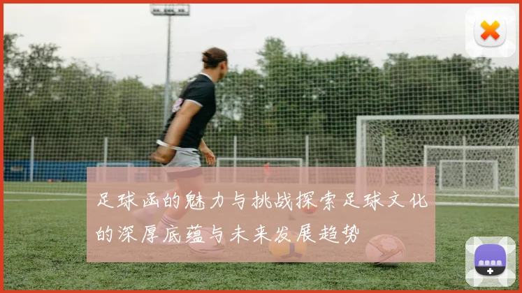 足球函的魅力与挑战探索足球文化的深厚底蕴与未来发展趋势