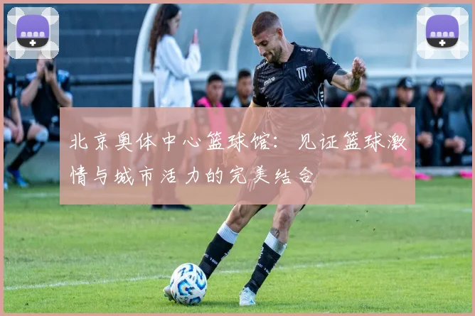 北京奥体中心篮球馆：见证篮球激情与城市活力的完美结合