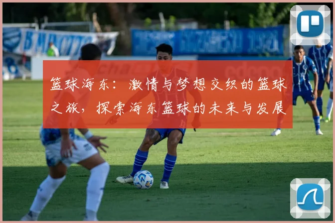 篮球海东：激情与梦想交织的篮球之旅，探索海东篮球的未来与发展