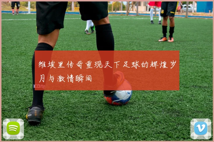 维埃里传奇重现天下足球的辉煌岁月与激情瞬间