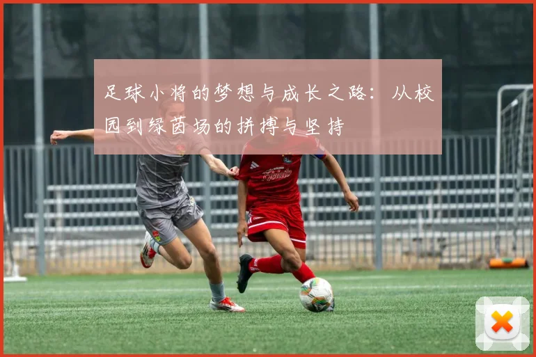 足球小将的梦想与成长之路：从校园到绿茵场的拼搏与坚持