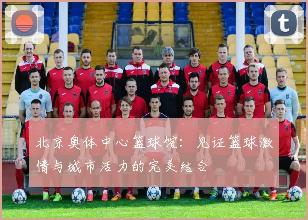 北京奥体中心篮球馆：见证篮球激情与城市活力的完美结合